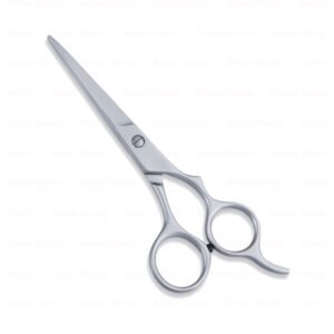 Economy Hair Scissors