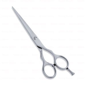 Economy Hair Scissors