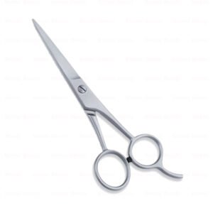 Economy Hair Scissors