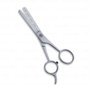 Economy Hair Scissors