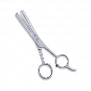 Economy Hair Scissors